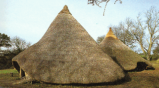 Celtic Homestead